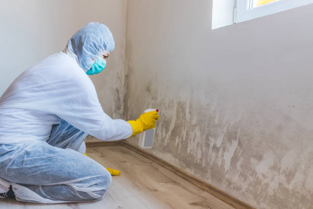 Bathroom Mold Removal assessment in Doylestown bathroom